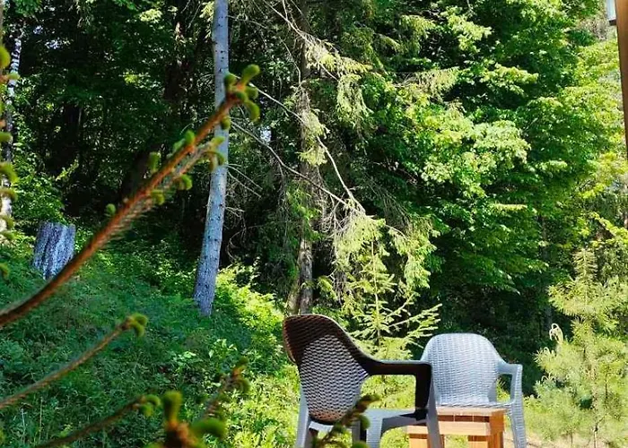 Olenevo Park Tatil Evi