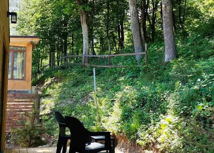 Olenevo Park *