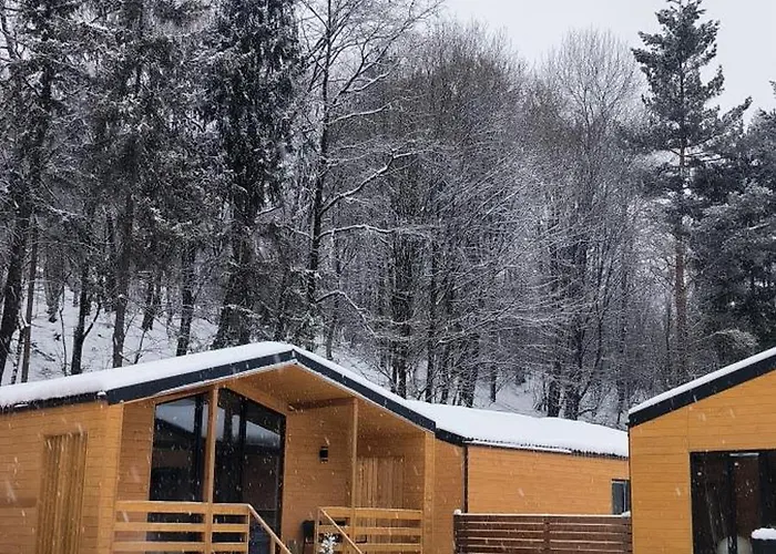 Olenevo Park Tatil Evi *