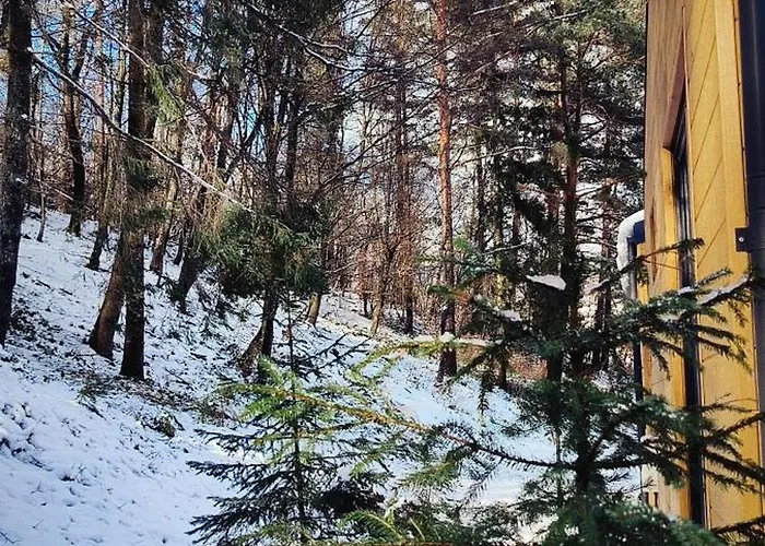 Olenevo Park Tatil Evi