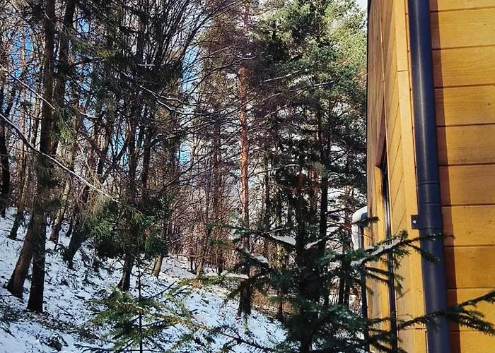 Olenevo Park Tatil Evi