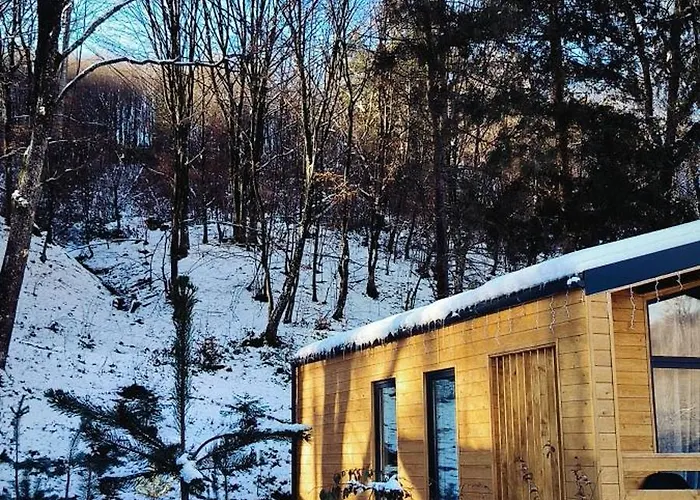 Olenevo Park