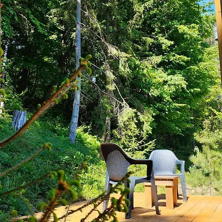 Olenevo Park Holiday home